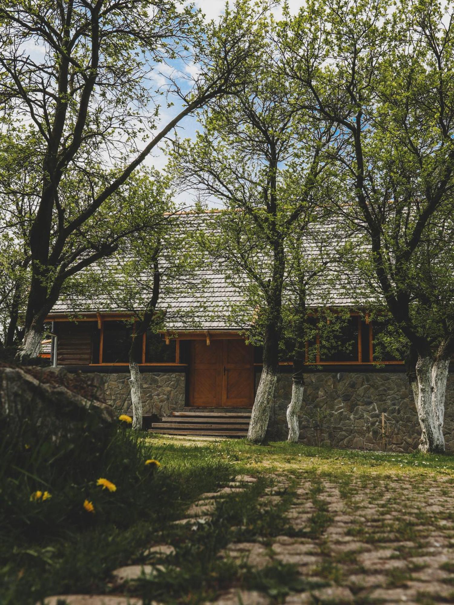 Karkonoska Drewniana Chata Kamienna Gora Exterior photo